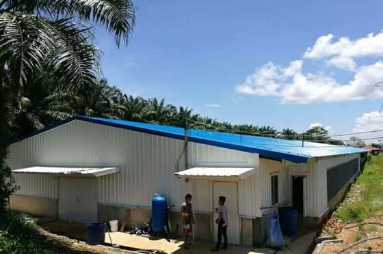 Hot-Dip Galvanized Anti-Corrosion Steel Poultry House with Customizable Layout for Broilers & Layers