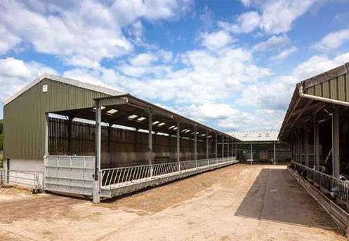 Hot-Dip Galvanized Custom Size Anti-Corrosion Steel Poultry House for Livestock Cow Shelter