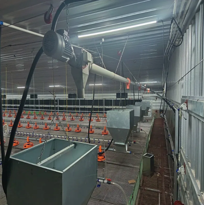 Automatic Chicken Feeding Line with Anti-spillage Design, Hot-dip Galvanized Steel, and Precision Nipple Drinking for Poultry Breeding Equipment