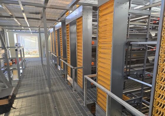 Hot-Dip Galvanized H-Type Battery Layer Cage with Automatic Nipple Drinkers and Wind and Rain Resistant Poultry Farming Equipment