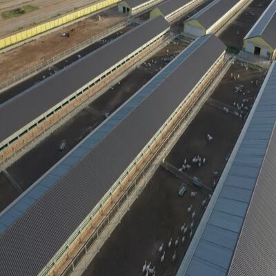Prefabricated Climate-Controlled Poultry House Solution for B2B Importers
