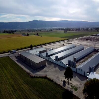Heavy-Duty Steel Structure Poultry House for Modern Poultry Farming