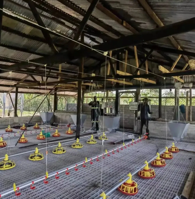 Heavy-Duty Corrosion Resistant Plastic Slat Flooring with Anti-Slip Surface and Hollow Dung-Leakage Structure for Poultry Farming