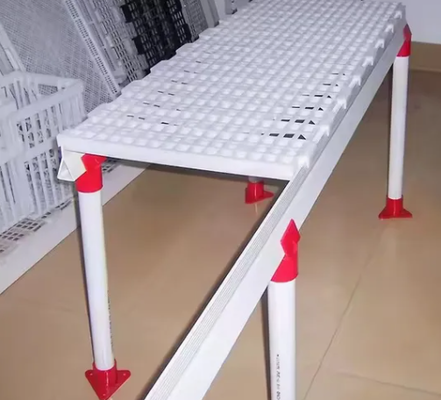 Affordable Poultry Slat Floor Chicken Coop with High Manure Leaking Rate Anti-Aging Material and Adjustable Height for Broiler Farms