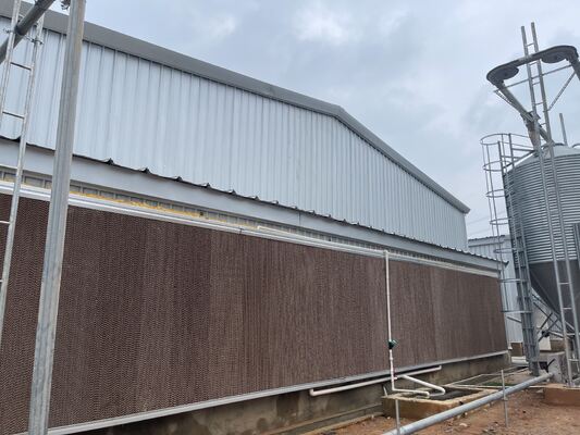 Steel Poultry House with Programmable Controller Exhaust Fan Solution and 50 Years Lifespan for Broiler Chicken Farm