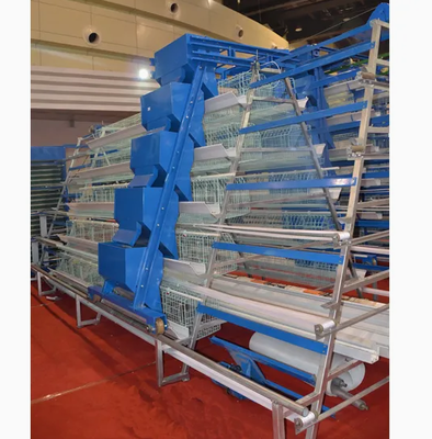 20000 Capacity Automatic H Type Battery Layer Chicken Cage with Tropical Zone Adaptation and Superior Ventilation