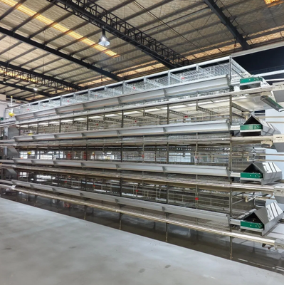 Hot-Dip Galvanized Battery Chicken Cage with Automatic Feeding System and Customizable Dimensions