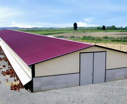 Weather-Resistant Prefabricated Steel Poultry House with Automatic Ventilation System and Customized Design