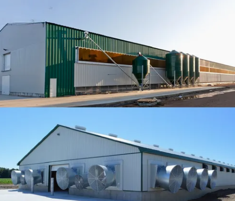 Galvanized Prefabricated Steel Poultry House with Customizable Layout and Excellent Sound Insulation