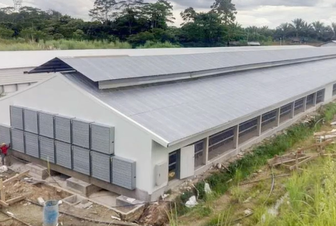 Nigeria Stahl Geflügelhaus mit Schrauben Verbindung Sandwich-Panel Wand und H-Abschnitt Stahlsäule
