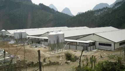 Galvanized Steel Poultry House with 30 Years Warranty and Low Maintenance for Broiler Chicken Coop
