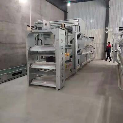 H-Frame Broiler Cage with Independent Manure Belt & Automatic Feeding System – Large Intensive Farm Equipment