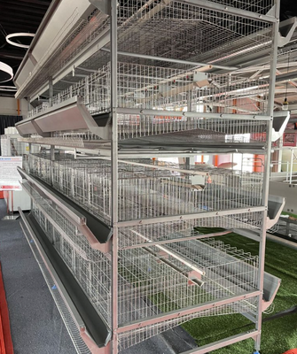 Rust-Resistant Modular Layer Chicken Cage with Gentle Egg Collection System