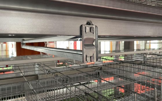 Hot-dip galvanized steel poultry chicken cage with automatic feeding system for 8 hens per cell