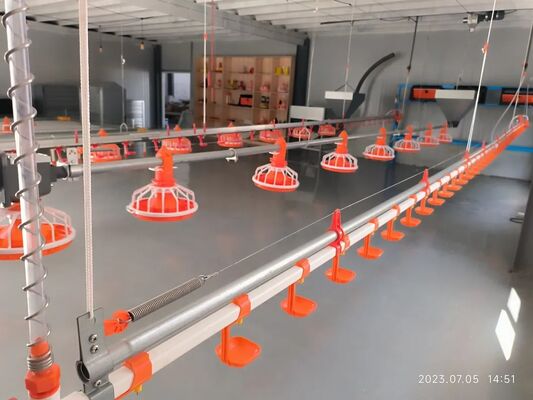 Modern Steel Poultry House with Automatic Ventilation System and Pre-installed Plumbing System for Broiler Chicken Breeding