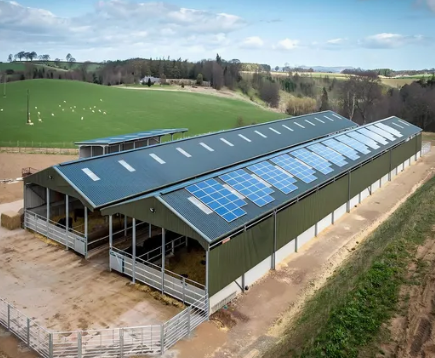 Ample Exercise Space Good Lighting Prefabricated Steel Chicken House Customized up to 60m