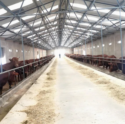 Weather-Resistant Heavy-Duty Prefab Steel Structure Poultry House with Quick Installation
