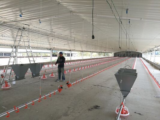 Hot-Dip Galvanized Quick Assembly Anti-Corrosion Steel Poultry House and Steel Chicken House