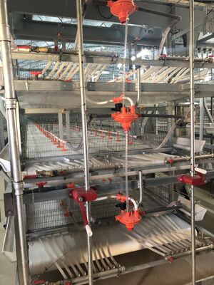 Prefab Steel Poultry House with Fog Spray System and Sliding Steel Doors for Breeder Chicken Farms
