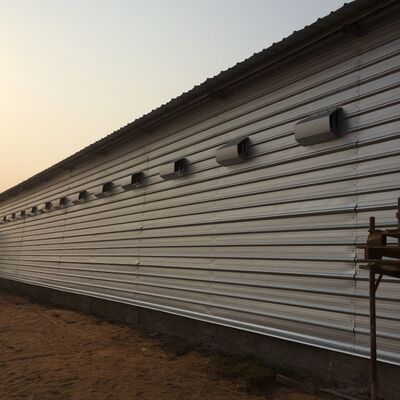 Steel Poultry House with Floor Feeding System and Drinking System Factory Supply Prefabricated Poultry House