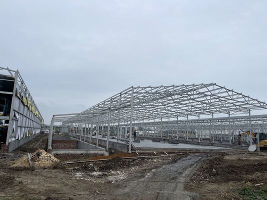Short Construction Time Steel Insulation Door H Section Steel Beam Steel Poultry House Prefab Chicken House