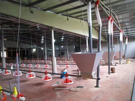 High Efficiency Broiler Poultry Equipment with Automatic Pan Feeder and Nipple Drinker Raising System