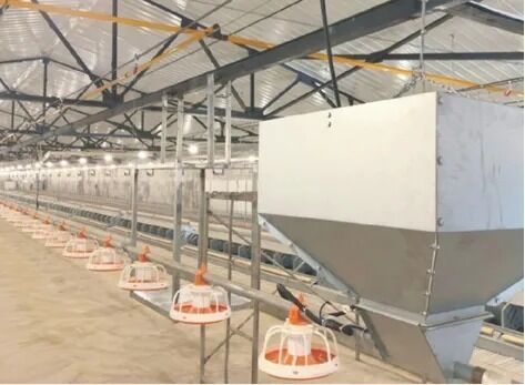 Automatic Broiler Farming Equipment with Feeding Line and Galvanized Surface Coat for Customizable Broiler Raising System