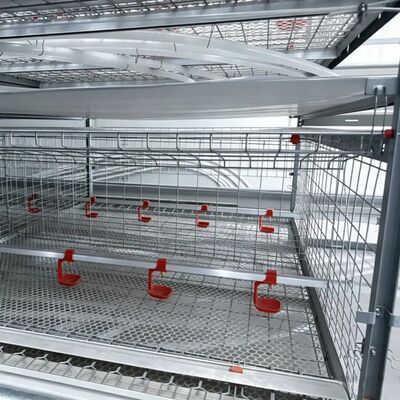 Complete Automatic Poultry House Equipment with Hot-dip Galvanized Steel for Chicken Broiler and Breeder Farms
