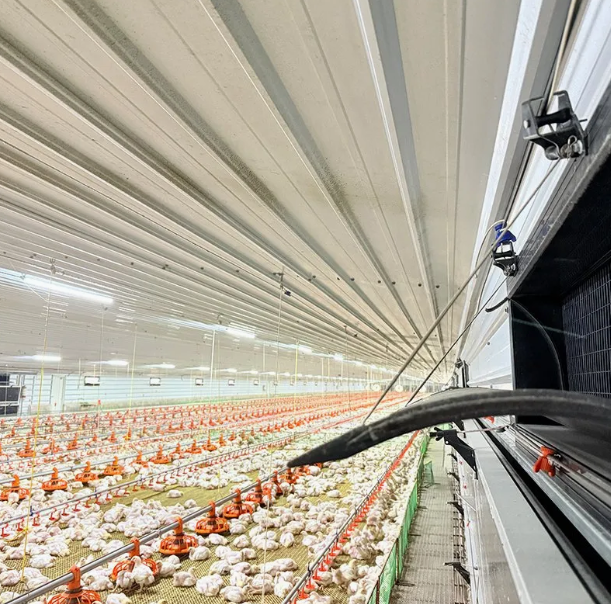 Modula Chicken Module Smart Control Modular Poultry House for Chicken Farms
